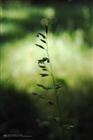 dailyPhoto7