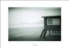 dailyPhoto29