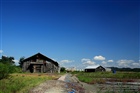 dailyPhoto30