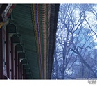 dailyPhoto22