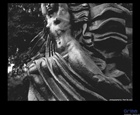 dailyPhoto30
