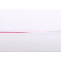 dailyPhoto6