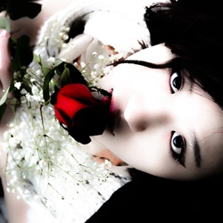 dailyPhoto20