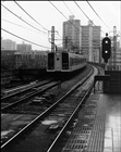 dailyPhoto31
