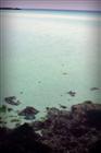 dailyPhoto32