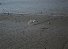 dailyPhoto20