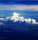 dailyPhoto14