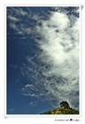 dailyPhoto33