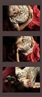 dailyPhoto6