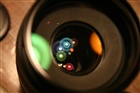 dailyPhoto11
