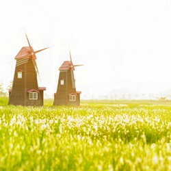 dailyPhoto1