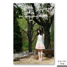 dailyPhoto3