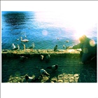 dailyPhoto37