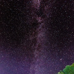 dailyPhoto10