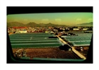 dailyPhoto9