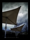 dailyPhoto3