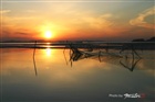 dailyPhoto6