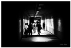 dailyPhoto13