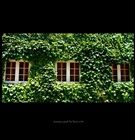 dailyPhoto17