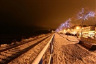 dailyPhoto15