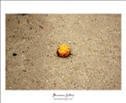 dailyPhoto5
