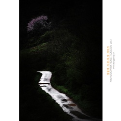 dailyPhoto24