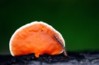 dailyPhoto9