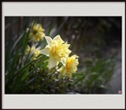 dailyPhoto40