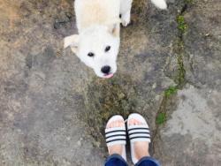 dailyPhoto14