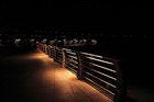 dailyPhoto1