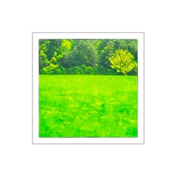 dailyPhoto4